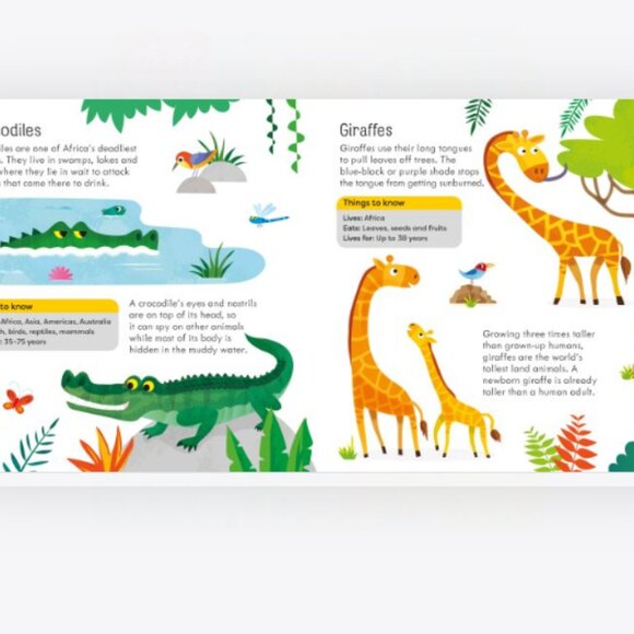 Usborne Animal Ludo Board Game - Picture 11 of 11